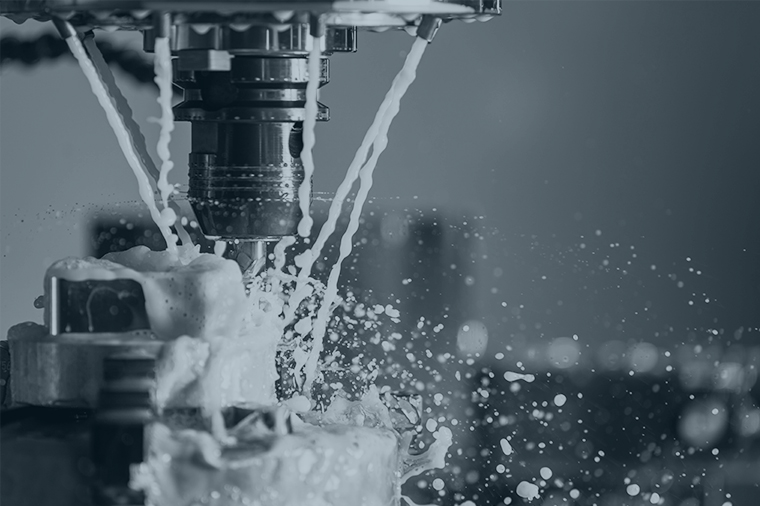 Добро пожаловать в рего плесень